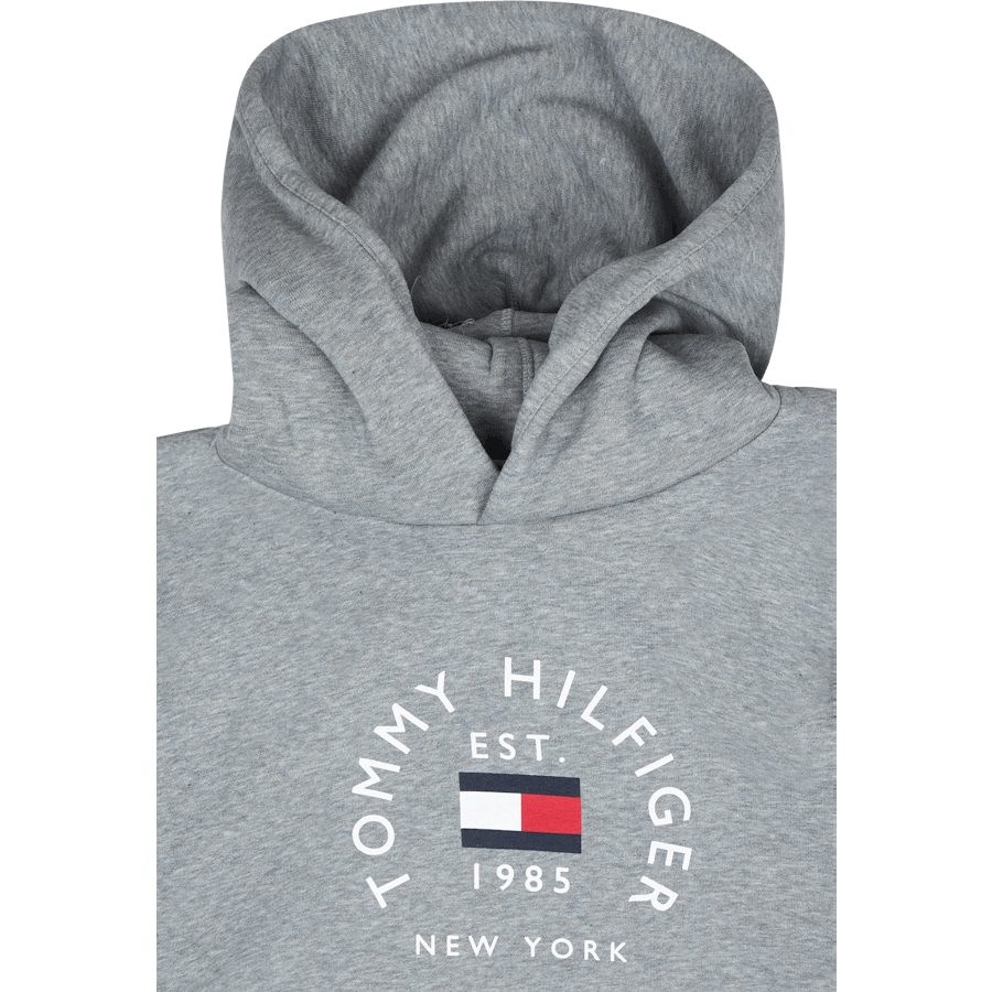 Tommy Hilfiger Hilfiger Flag Arch Hoody Zn2 - ed Speckled Dark
