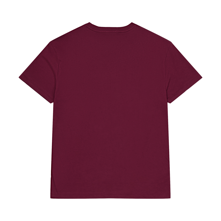 Polo Ralph Lauren 26/1 Jersey Harvard