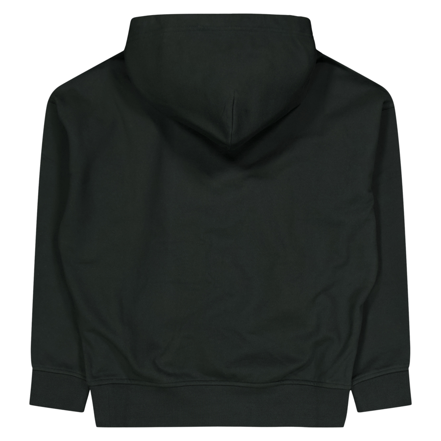 Polo Ralph Lauren Heavy Fleece Hoodie 003 Faded  Canvas