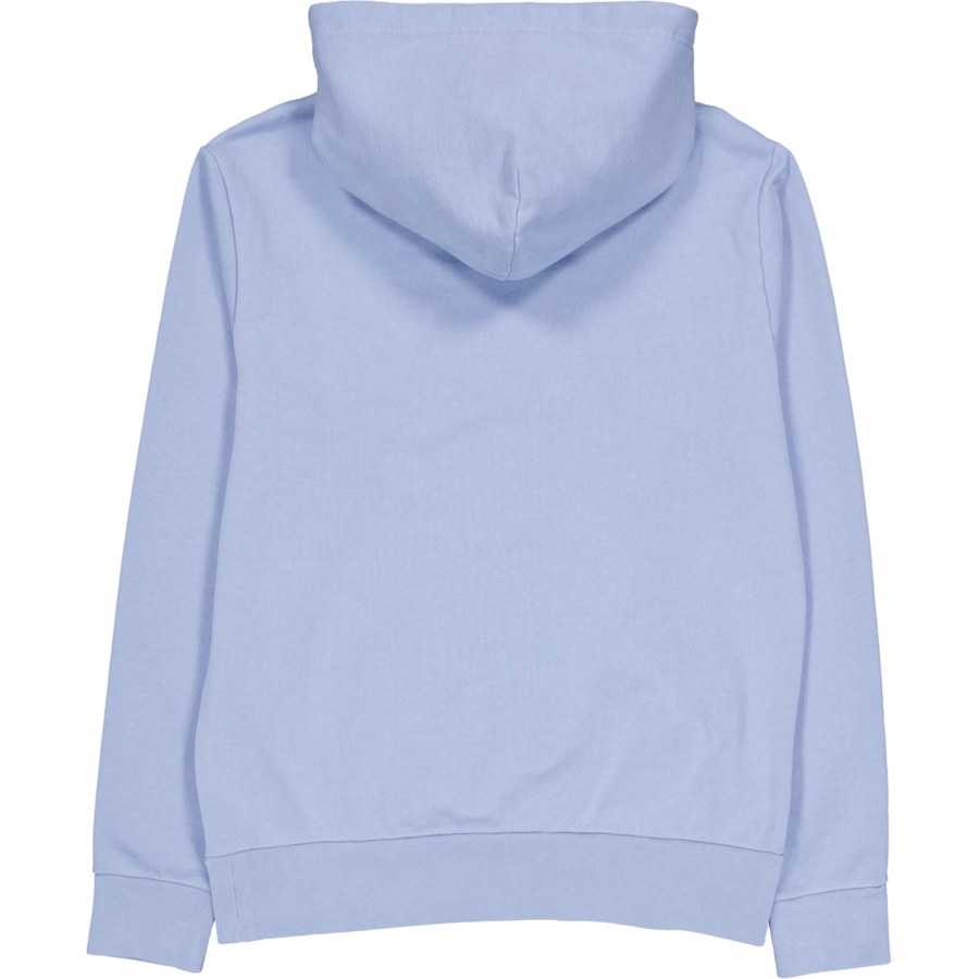 Polo Ralph Lauren Loopback Terry Hoodie Channel